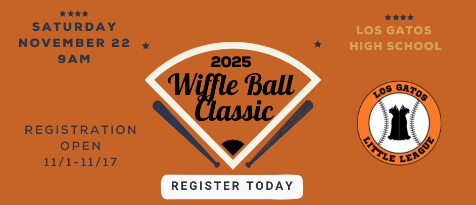 November Wiffle Ball 