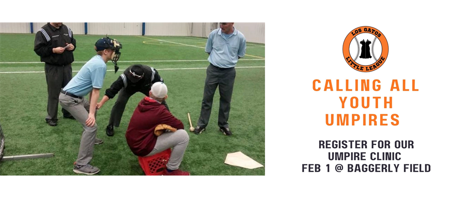 Youth Umpire Clinic Feb 1