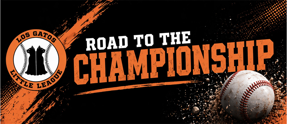 See the current standings